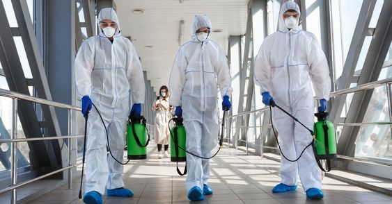 Kiểm soát chuột tại Trường Tiểu học và Trung học cơ sở FPT Cầu Giấy