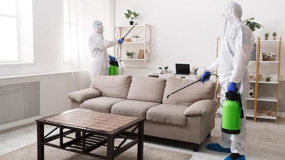 Diệt côn trùng, diệt chuột và phòng chống mối tại Tòa nhà Gemek Tower và Gemek Premium